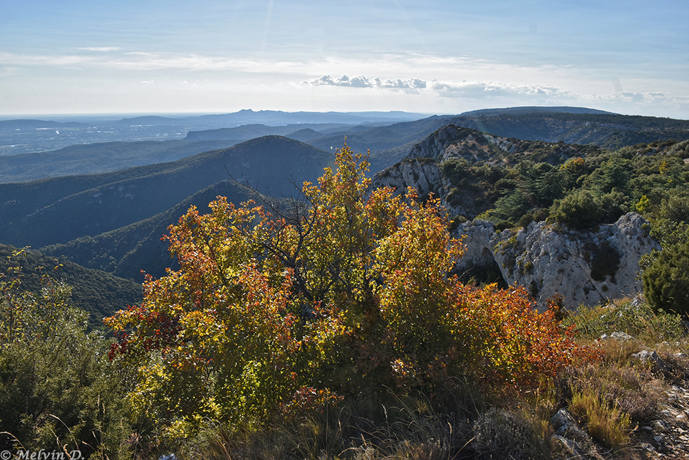 dsc_3915.jpg