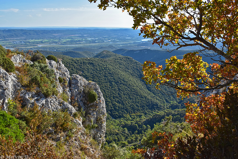 dsc_3918.jpg