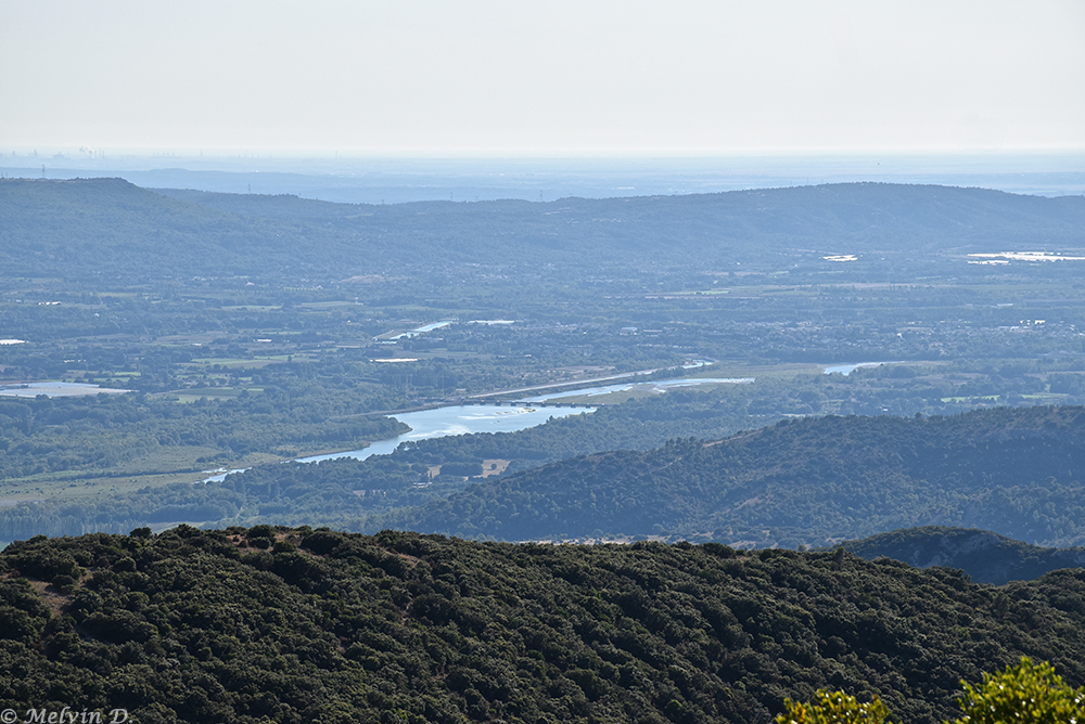 dsc_3923.jpg