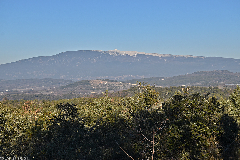 dsc_4340.jpg