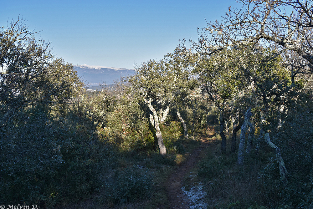 dsc_4344.jpg