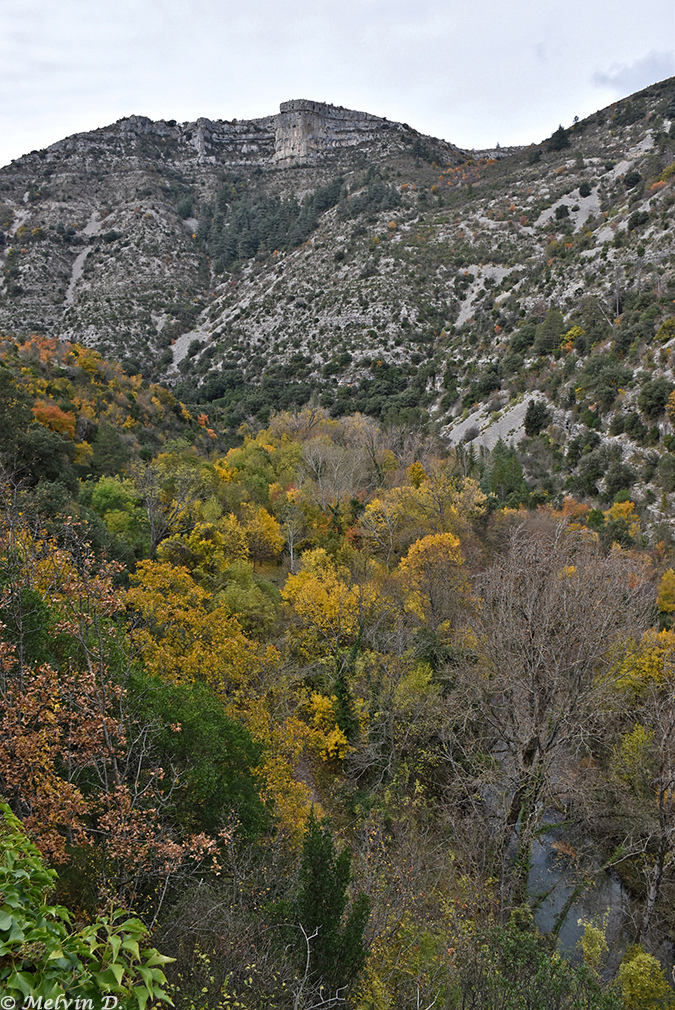 Image hébergée par servimg.com