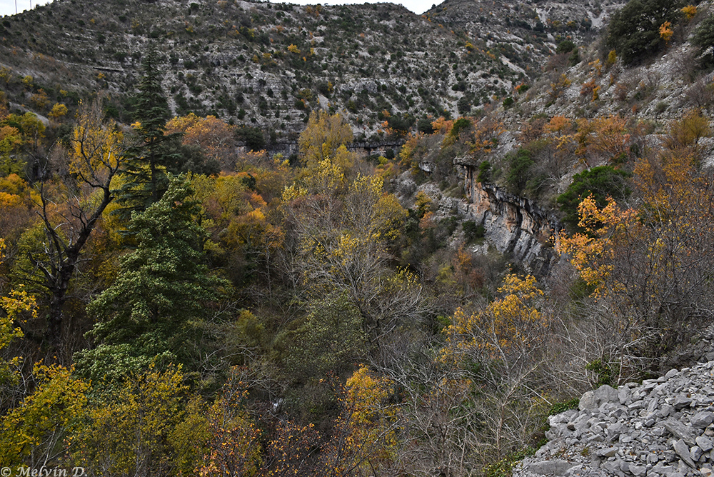 Image hébergée par servimg.com
