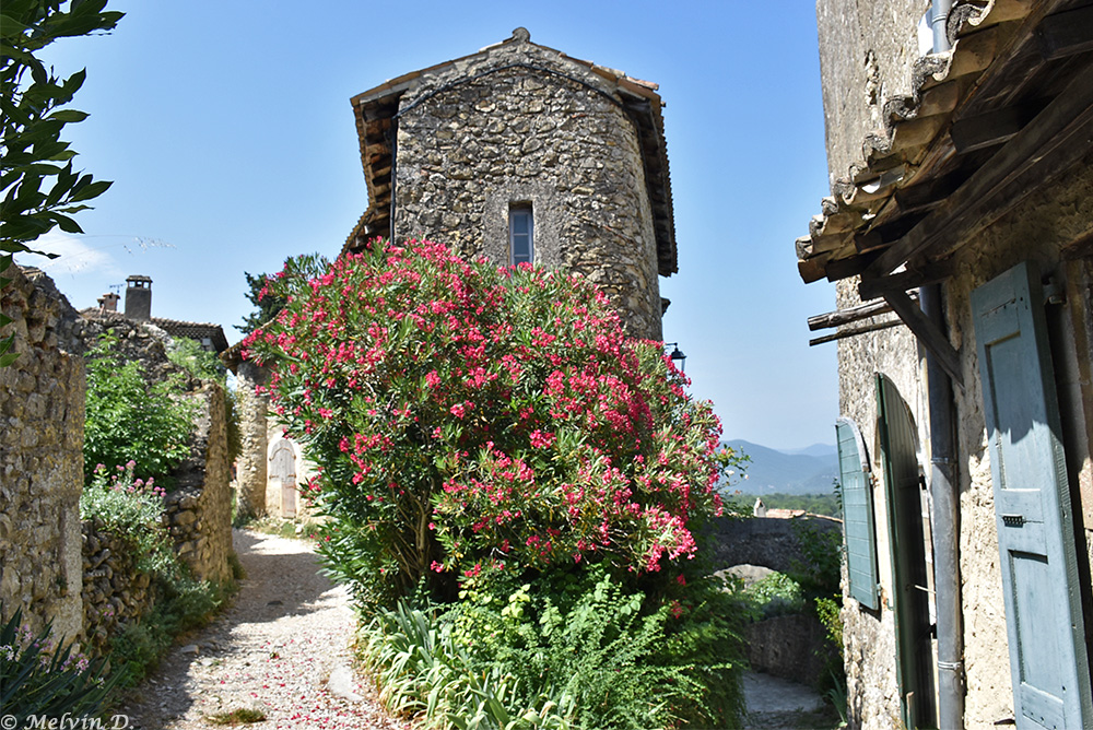 Image hébergée par servimg.com