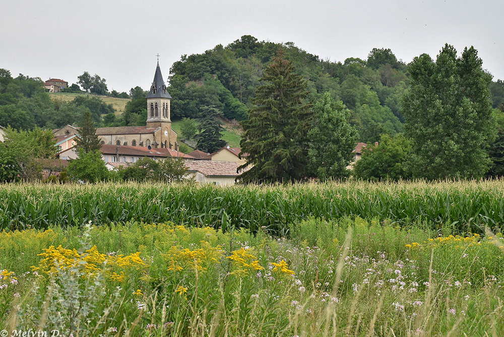 Image hébergée par servimg.com