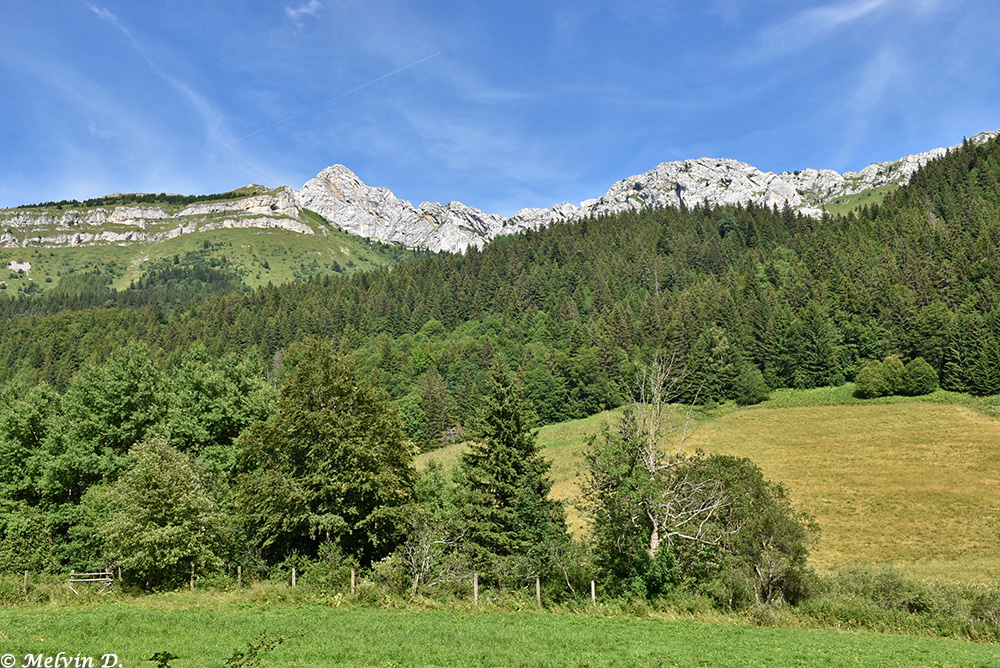 Image hébergée par servimg.com