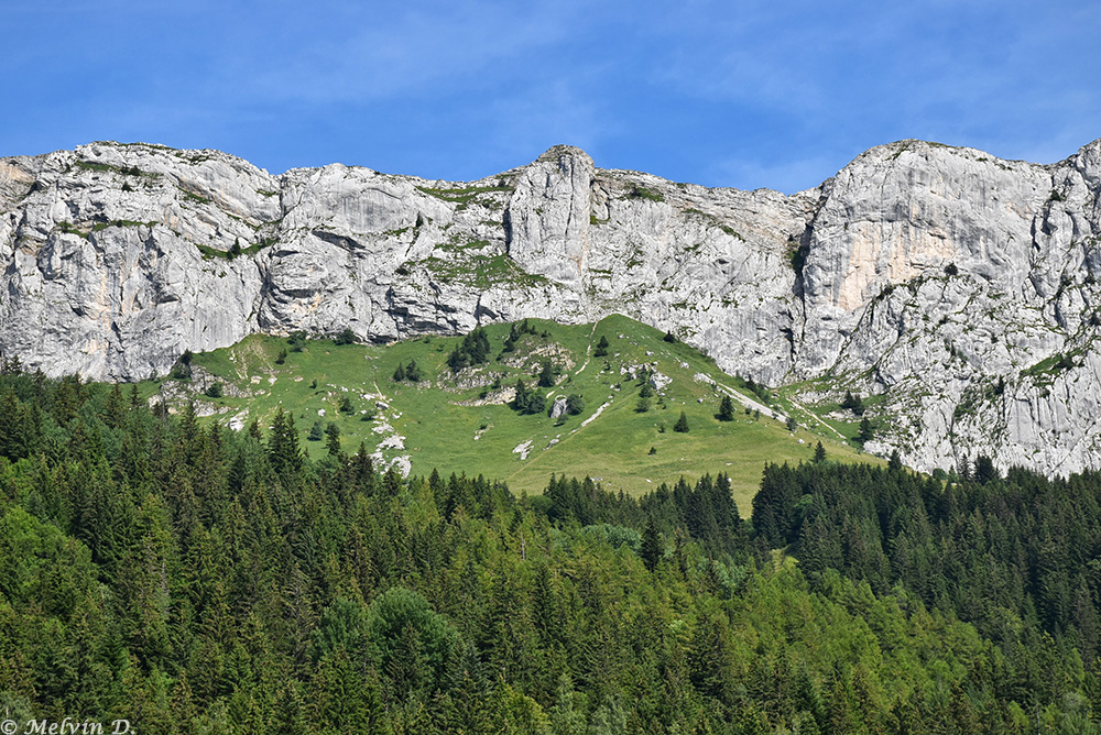 Image hébergée par servimg.com