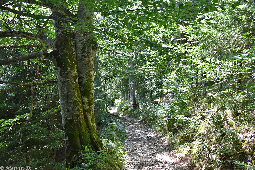 Image hébergée par servimg.com