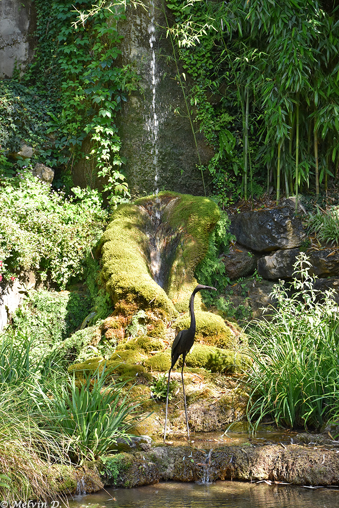 Image hébergée par servimg.com