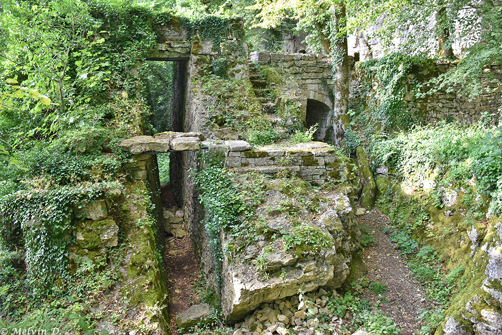 Image hébergée par servimg.com