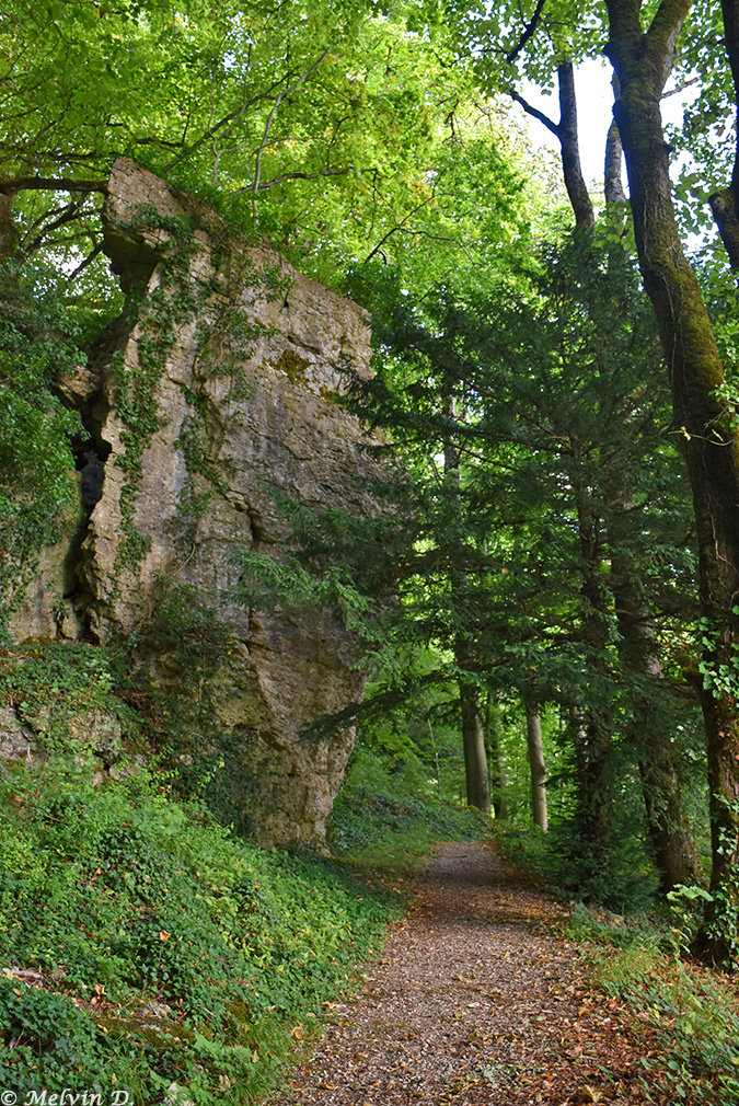 Image hébergée par servimg.com
