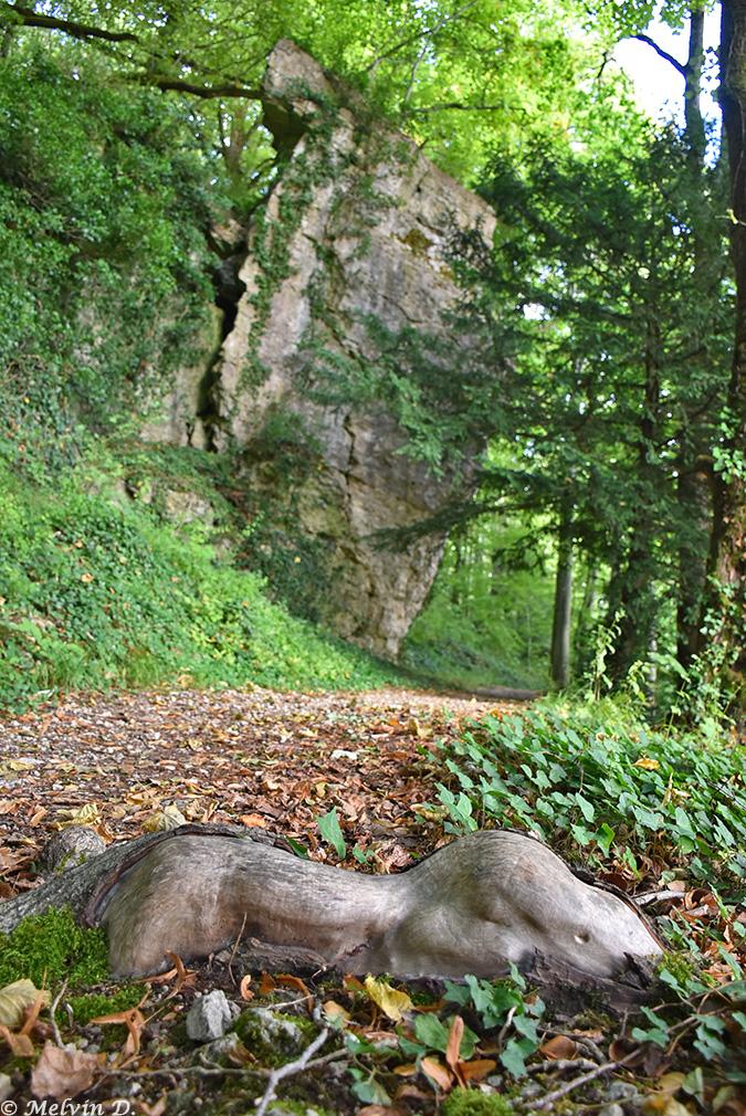Image hébergée par servimg.com