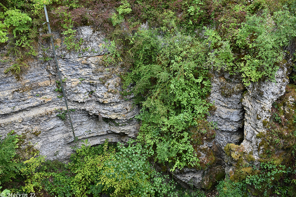 Image hébergée par servimg.com