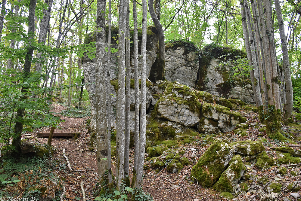 Image hébergée par servimg.com