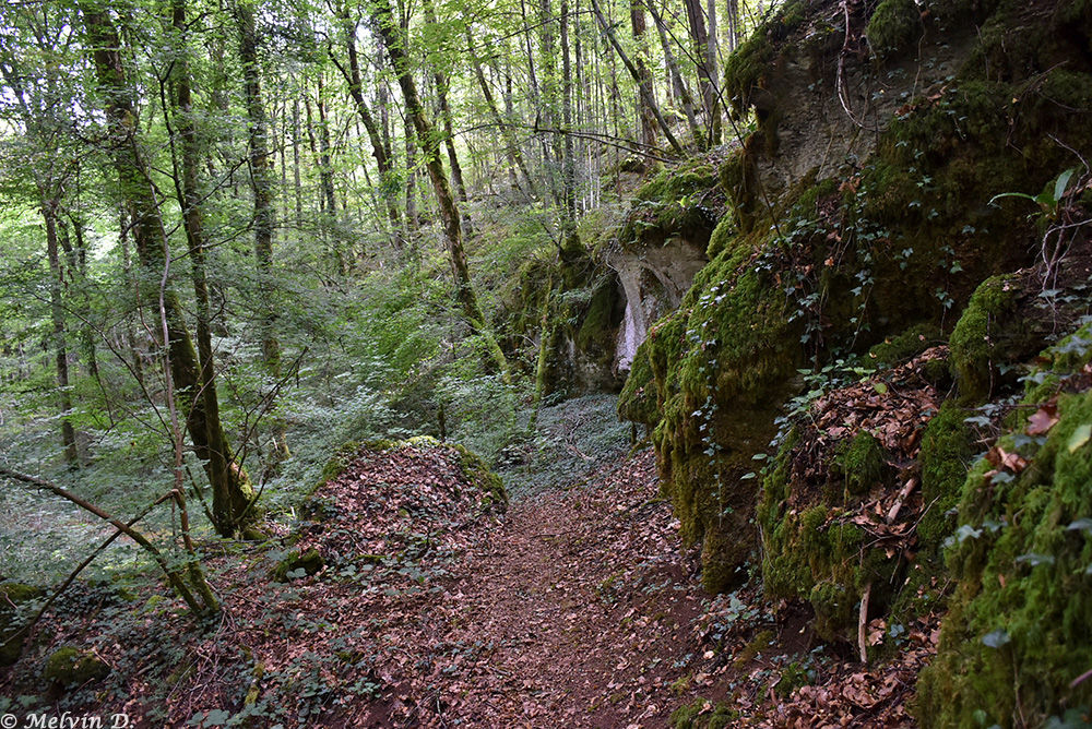 Image hébergée par servimg.com