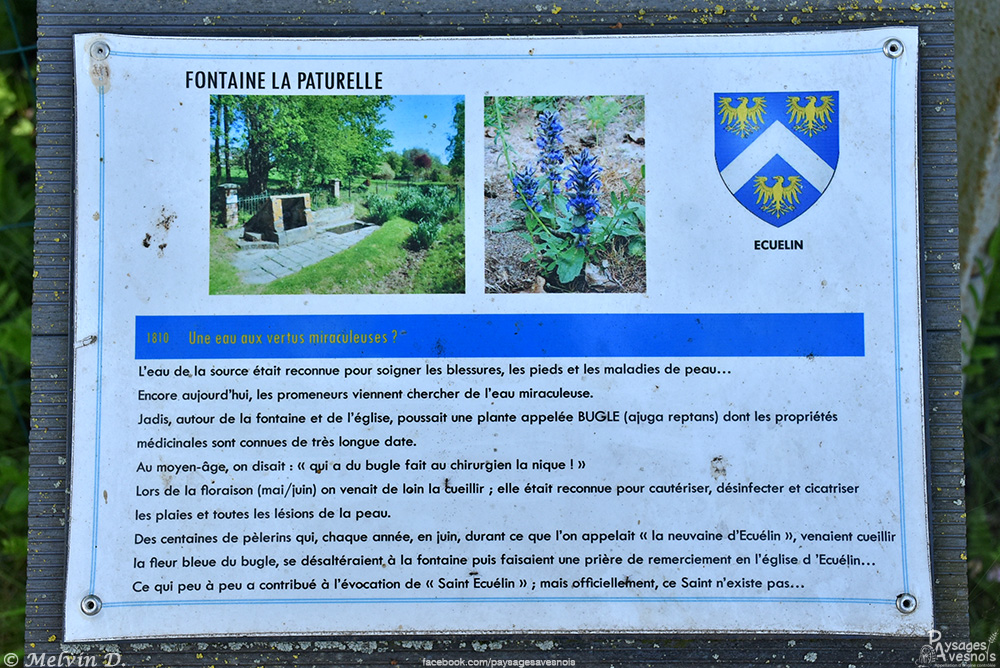 Image hébergée par servimg.com
