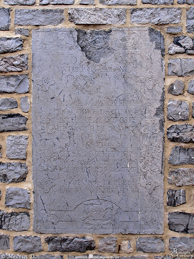 p9115311.jpg