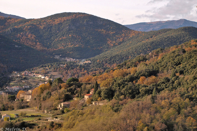 Image hébergée par servimg.com