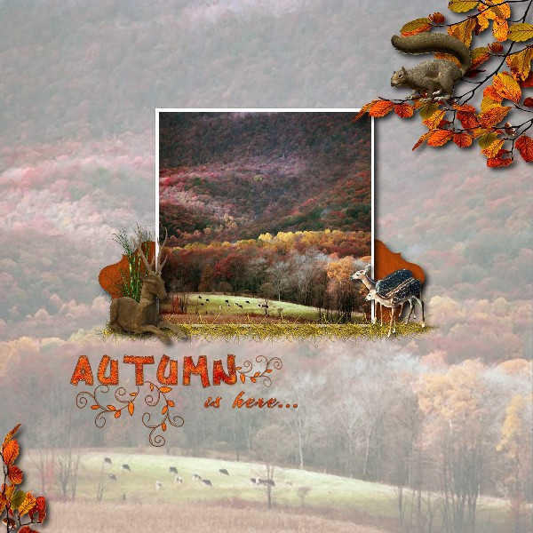 autumn10.jpg