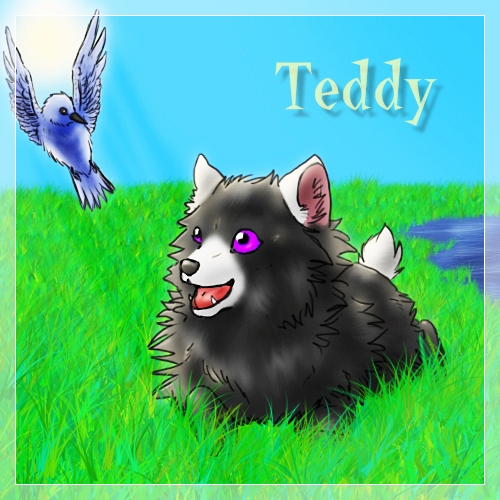 teddy11.jpg