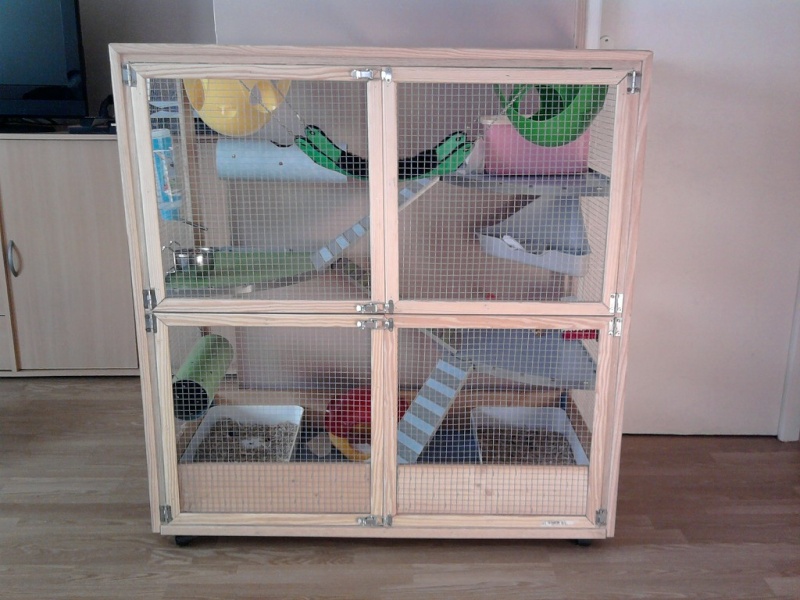 cage15.jpg