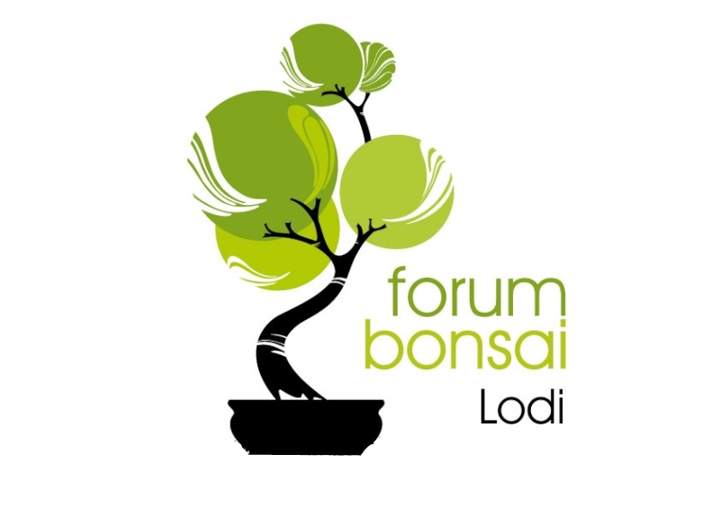 logo_l10.jpg
