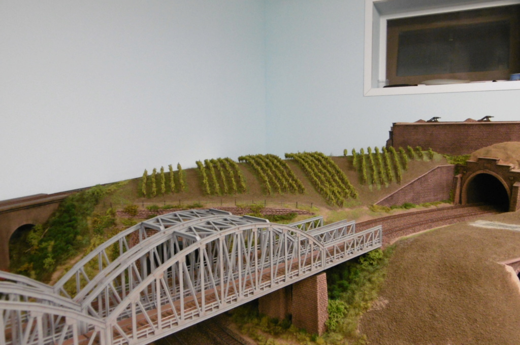 p1000810.jpg